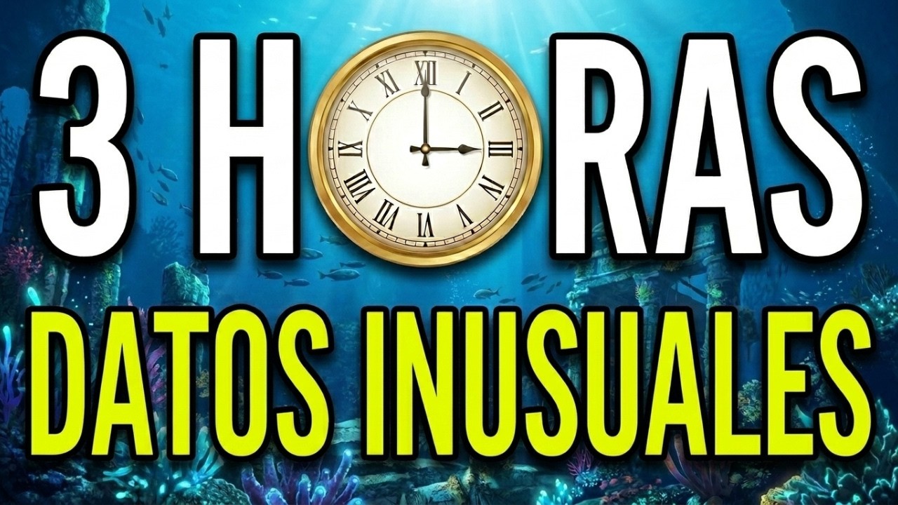3 HORAS DE DATOS CURIOSOS DEL MUNDO Y DATOS EXTRAÑOS QUE NO SABIAS HACE 5 MINUTOS