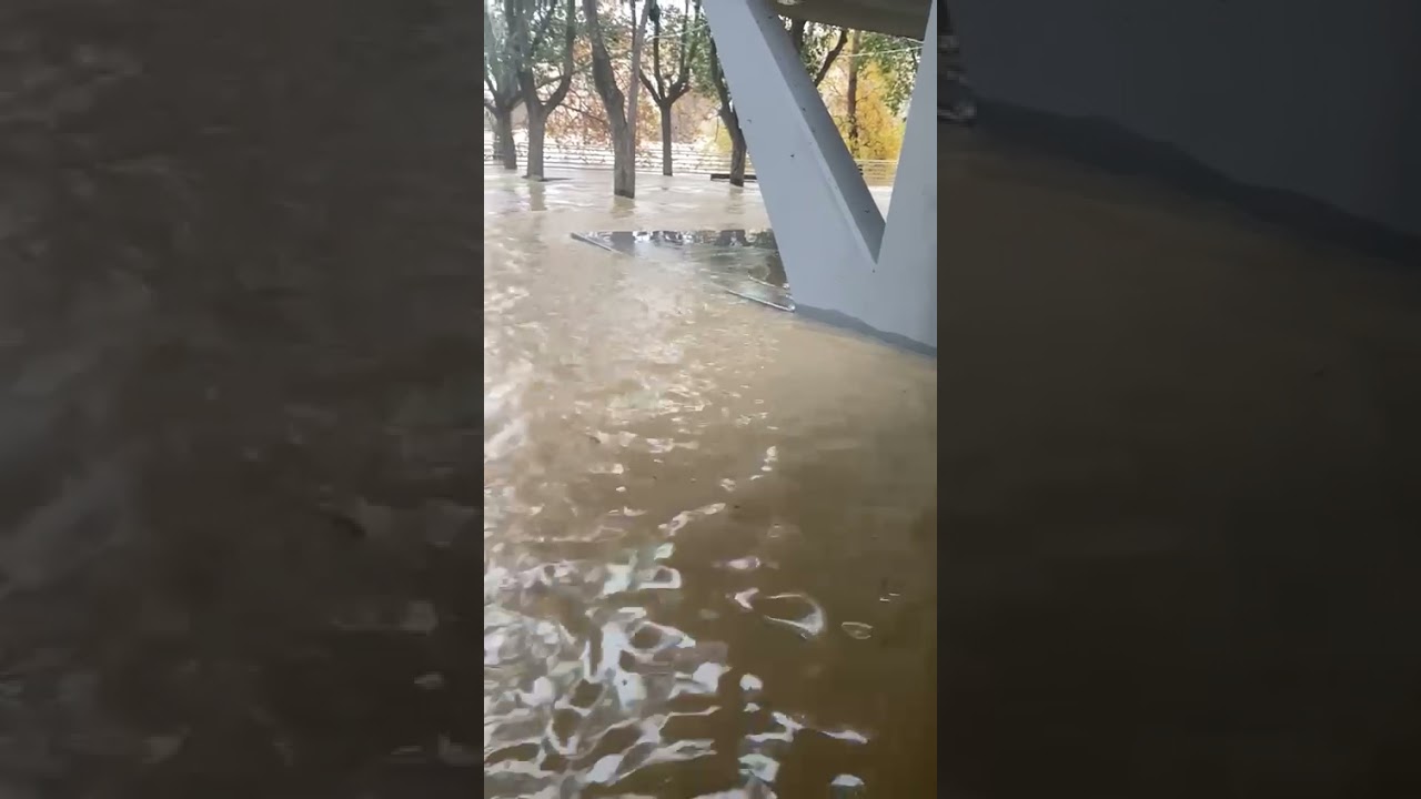 Así baja el Ebro a la altura del Pilar en Zaragoza