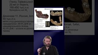 Денисовцы \ Станислав Дробышевский #антропология #эволюция #shorts