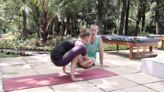 Ashtanga Yoga Asana School - Bhujapidasana 