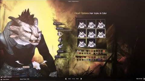 Guild Wars 2 - Charr Character Creation [Gamescom 2011]