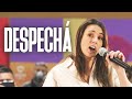 Despech  irene montero le canta a pablo iglesias  rosala parodia