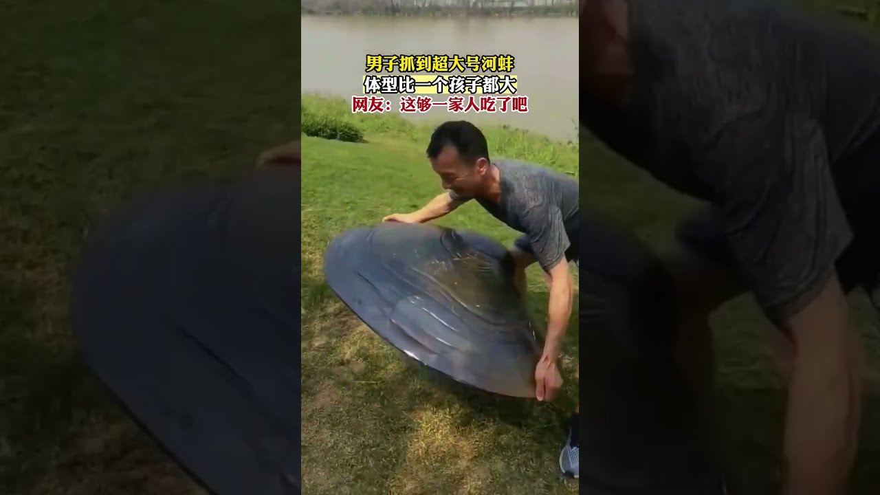 The Largest Pearl Oyster In World Pearls