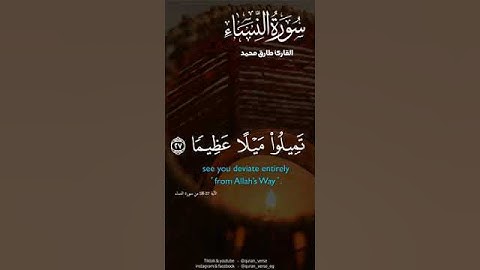 أرح سمعك 🥀القارئ: طارق محمد 🍃حالات واتس آب https://t.me/halat1000