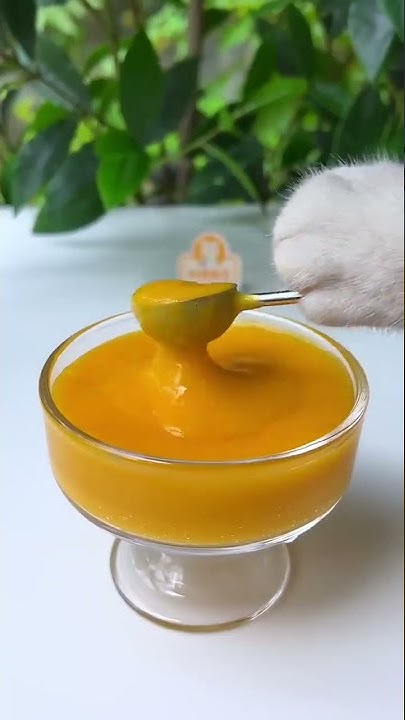 Longyin_Poached_Egg_Is_So_Cute%21%F0%9F%A4%A4%F0%9F%98%B2%F0%9F%98%8D ...