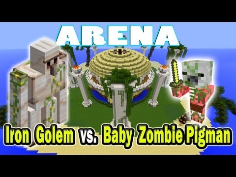 Minecraft Arena Battle Skeleton vs Zombie Pigman  FunnyDog.TV