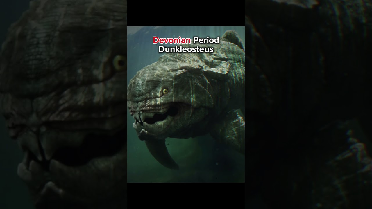 The Apex of Every Period😳💀