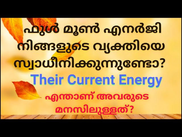 ♦️എന്താണ് അവരുടെ മനസിലുള്ളത്? Their Current Energy🌹 class=