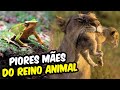 TOP 6 PIORES MÃES DO REINO ANIMAL