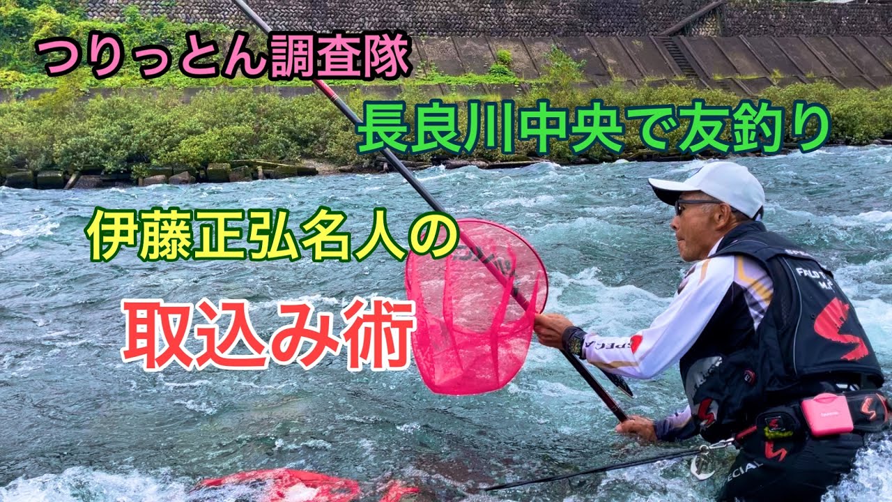 長良中央　鮎の友釣り　伊藤名人に学　9月29日