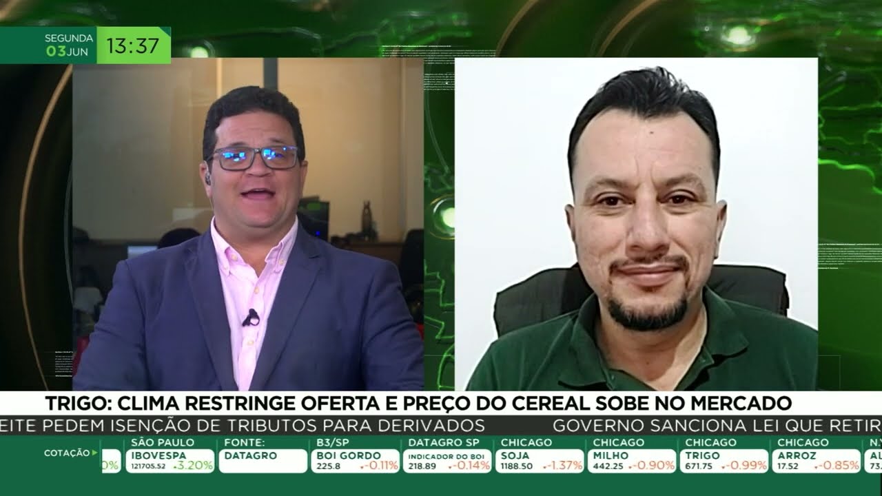 Trigo: clima restringe oferta e preço do cereal sobe no mercado