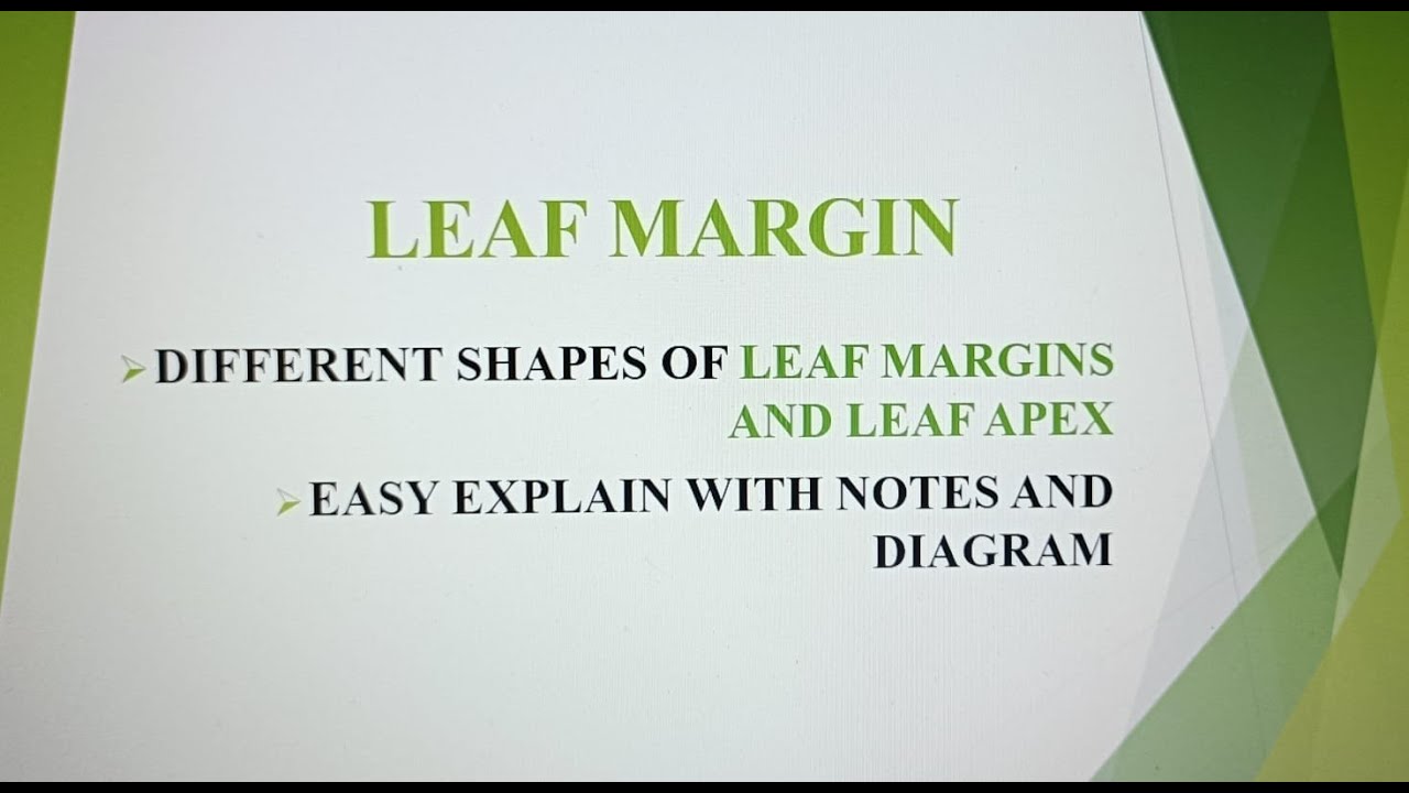 Leaf Shape, Shape of Leaf Apex, Base, Margin and Leaf Hair in