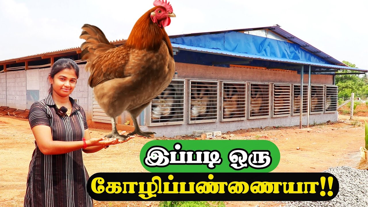 வேலை ஆட்களே தேவை இல்லையா? | Automatic EC Shed | Mayura Industries