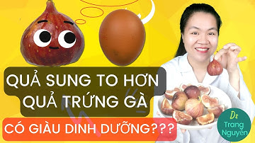 Quả sung Mỹ ăn có vị gì? Những tác dụng của quả sung Mỹ