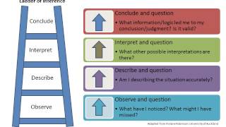 Numeracy Learning Walks After The Walk Vd3