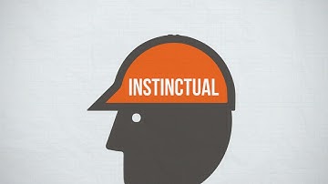 Importance of Good Housekeeping   Video   How to Stay Safe