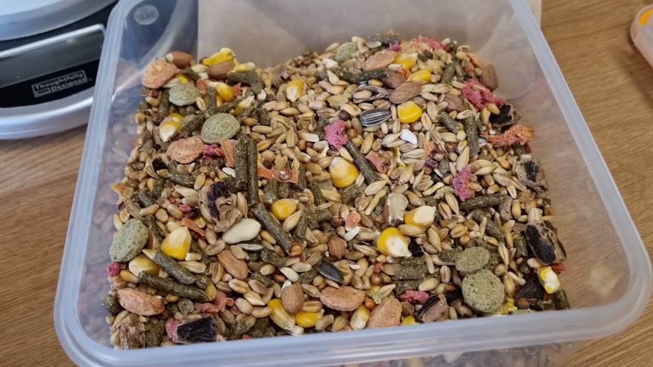 Hamster Food Review - Hungry Pets