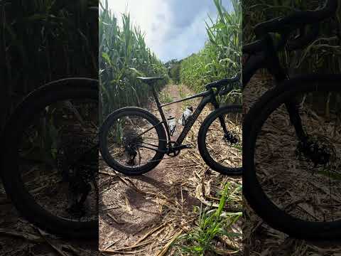 Grass. Gravel. Adventure. Topstone 🔁​ #shorts #ridecannondale #cannondale ​​