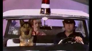 Video thumbnail of "Eddy Mitchell - Sur la route de Memphis (clip)"