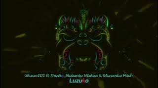 Shaun101 - Luzuko ft Nobantu Vilakazi, Murumba Pitch & Thuske SA - Amapiano