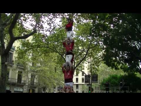 Castellers de Barcelona: pd5 ofrena floral Diada Nacional de Catalunya 11/09/2015