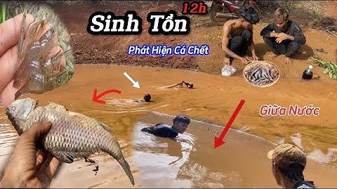 Sinh Tồn | Bắt TÉP đồng Bóp Chanh - Ngon Nhất | Catching Copper Shrimp Squeezing Lemon | Y PEP 81 !
