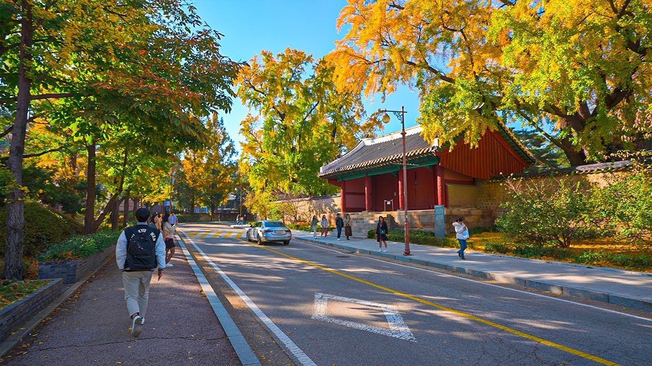 Walk Along the Sungkyunkwan University and Hyehwa-dong Street | Seoul Travel 4K HDR