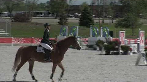 Video of Caladesi ridden by Heidi Schaefer from Sh...
