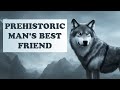 Evolution of dogs  how wolf became dog  origins of the dog  early dog domestication