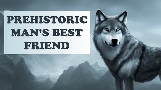 Evolution of Dogs | How Wolf Became Dog | Origins of the Dog | Early Dog Domestication