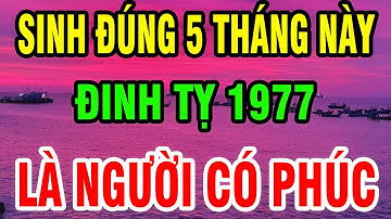 Tuổi Đinh Tỵ 1977 Sinh Đúng Tháng này được Hưởng Lộc Trời - Về Già Phát Tài Rực Rỡ, sống an nhàn