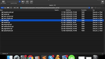 Where is the prestashop header , head and footer files ?