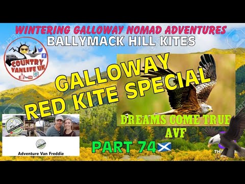 Galloway Red Kite Special 🦅🏴󠁧󠁢󠁳󠁣󠁴󠁿 Realising Your Dream Live your Life Adventurevan Freddie