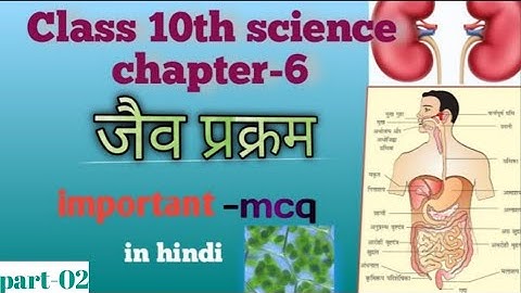 Class 10th science chapter-6 जैव प्रक्रम | important mcq questions in hindi I part- 02