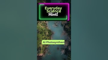 Everyday Science MCQs 166 | MPT CSS Screening Test #mpt #youtubeshorts #shortsvideo