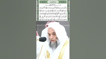 سورة العاديات قراءة الشيخ فيصل غزاوي