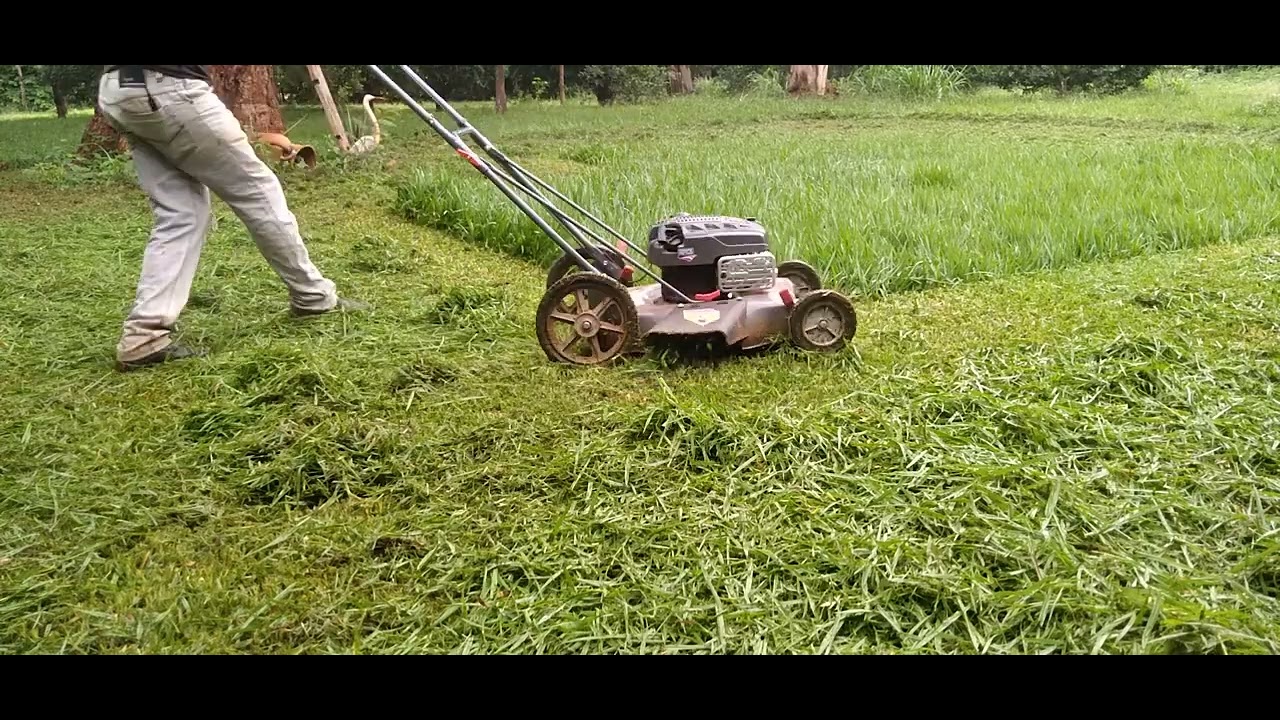 Aparador de Grama🍃🍃 Potente, em Ação! #Aparadordegrama b4t elite branco