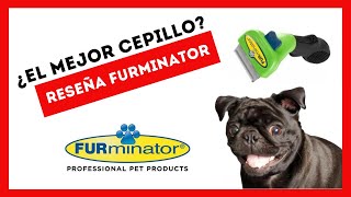 Cepillo Furminator  ¿El Mejor Cepillo? (Furminator Review en ESPAÑOL)