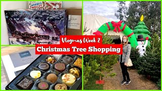 Vlogmas Week 2 - Christmas Tree Shopping, Advent Calendars and Hotel Chocolat Zoom l  aclaireytale