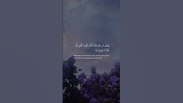 سورة يونس | الآيات 42 - 44 | القارئ عبد الرحمن مسعد