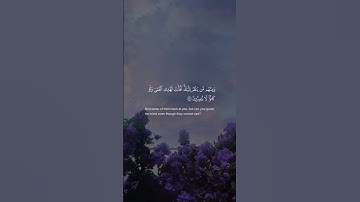 سورة يونس | الآيات 42 - 44 | القارئ عبد الرحمن مسعد
