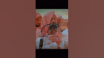 سورة النساء 27 | 29 #محمد_اللحيدان