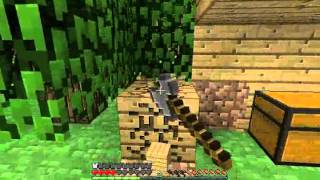 Survival Let's Play Ep. 8