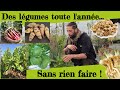 Des lgumes toute lanne sans rien faire  lgumes vivaces