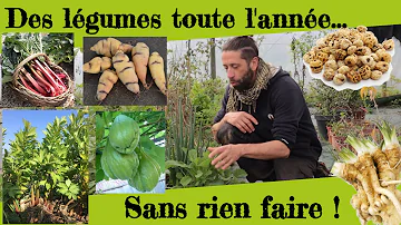 Quelle légume pousse toute l'année