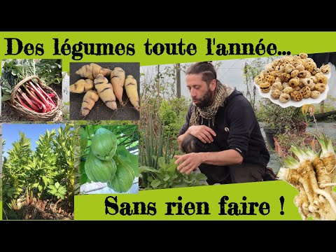 Vidéo: Que sont les légumes vivaces : types de légumes vivaces pour les jardiniers