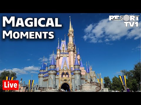 Видео: Что делать на Рождество в Walt Disney World