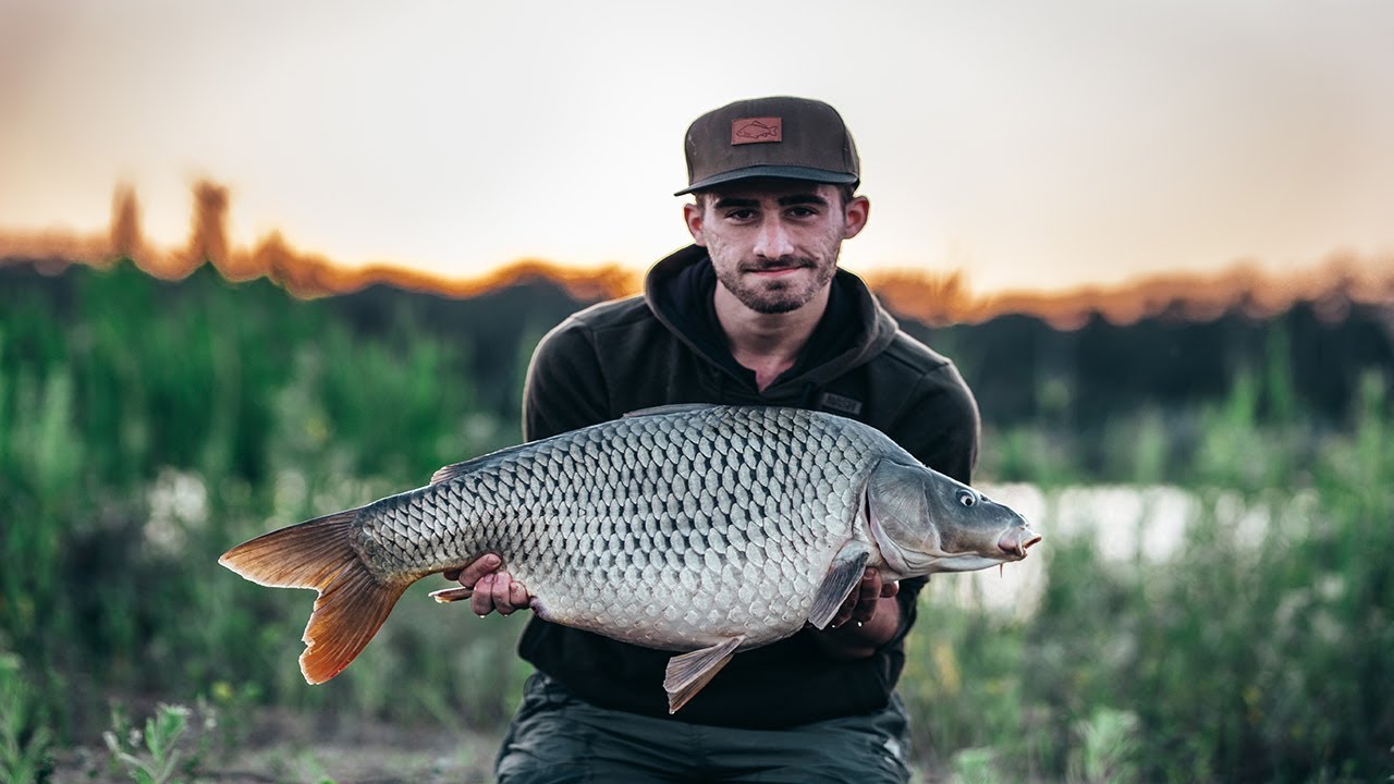Pontyhorgászat a kánikulában - Irány Lacháza! 🎣🐳