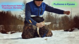 Рыбалка в Кушве - Щука,Крупный Чебак , Подлещик, Экстрим ! Рыбалка в Кушве - Щука,Крупный Чебак , Подлещик, Экстрим !