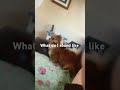 HEAD PHONE USER WARING